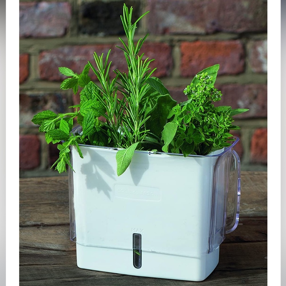COLE & MASON H105159U Self-Watering cut  Herb Keeper, Cut, White/Clear